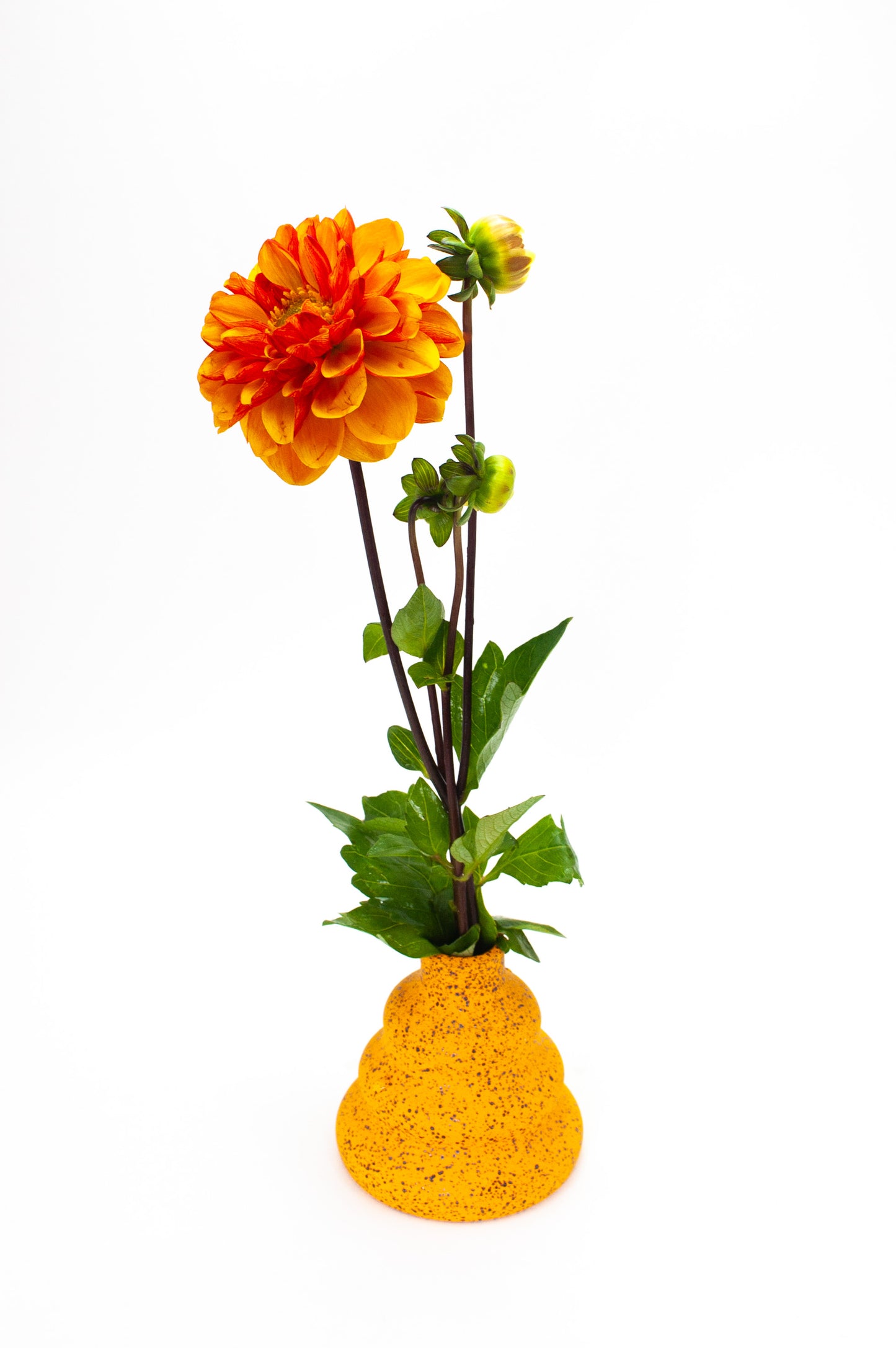 Vase 122