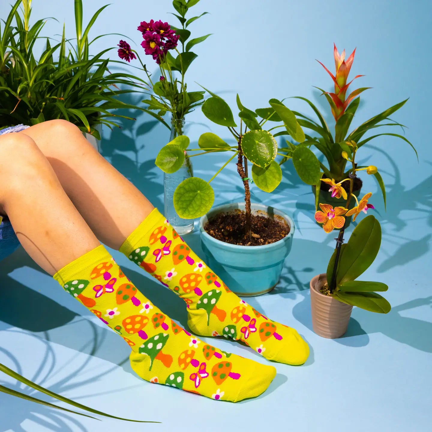 Crew Socks