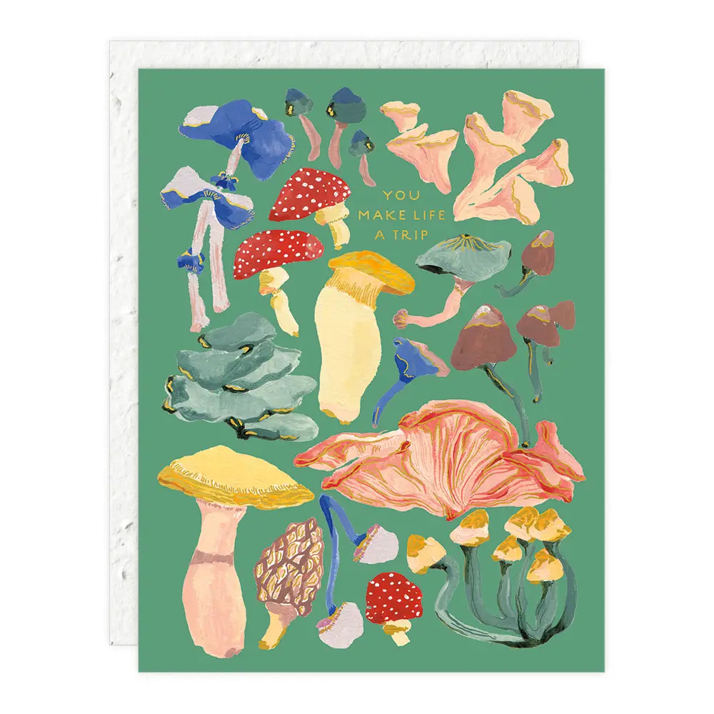 Seedlings Greeting Cards