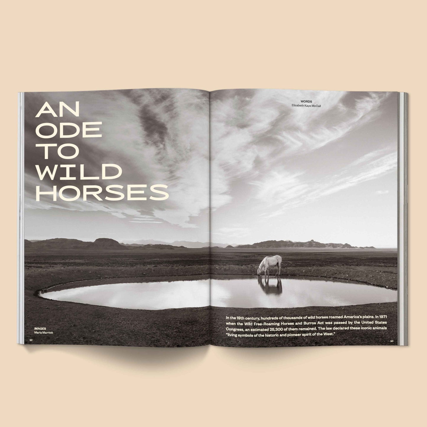 Calling All Horse Girls Magazine