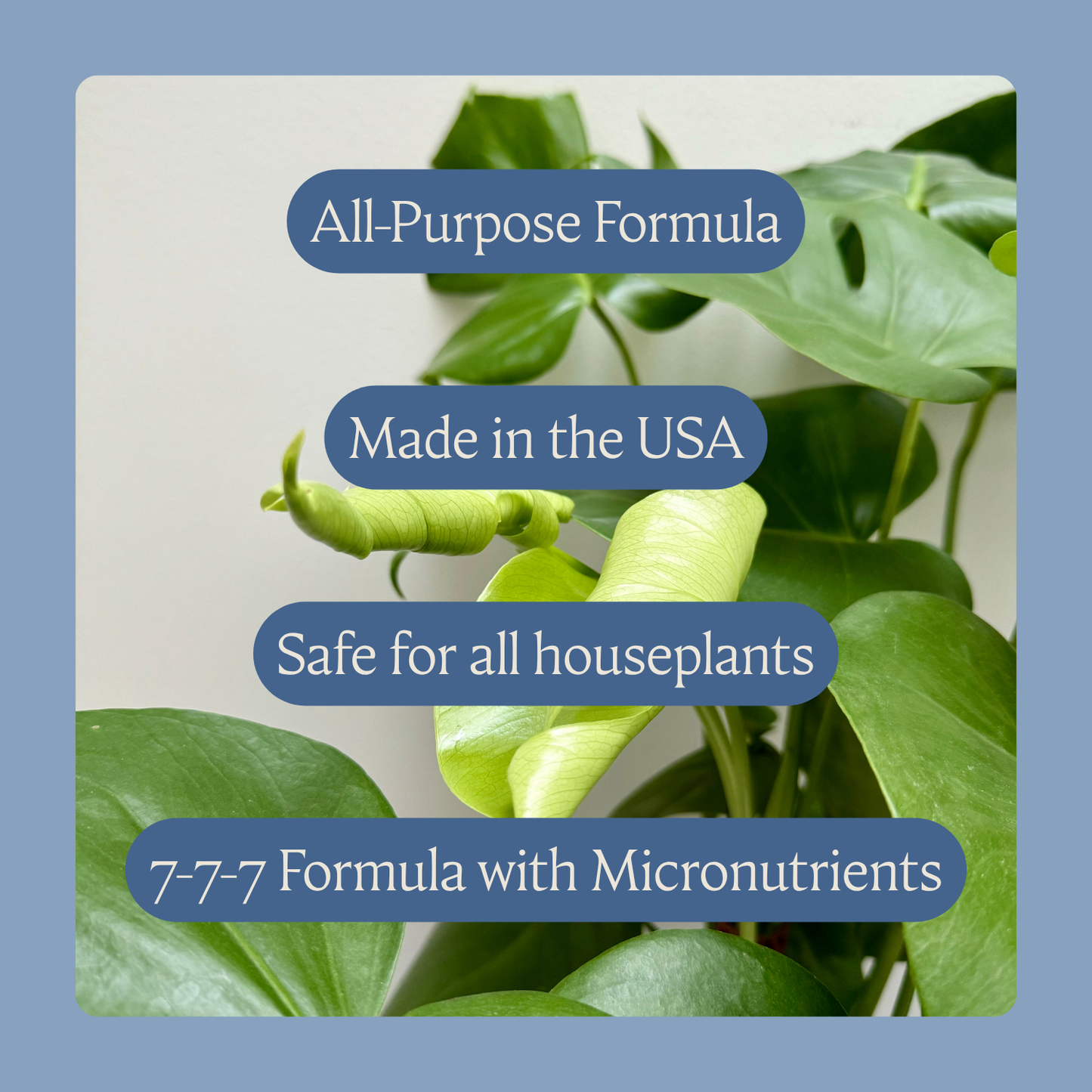 Bleume Liquid Plant Food - Houseplant Fertilizer