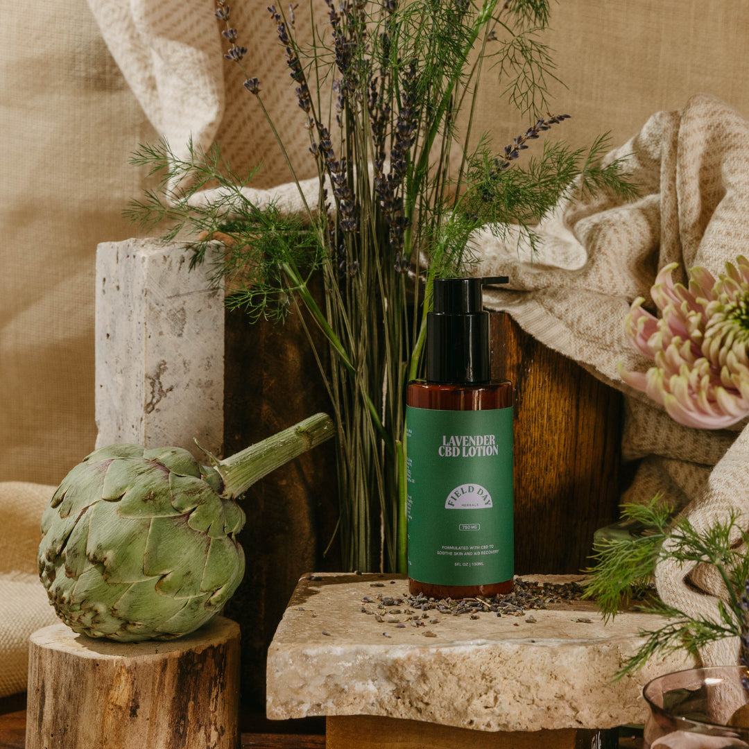 Field Day Herbals CBD Lotion