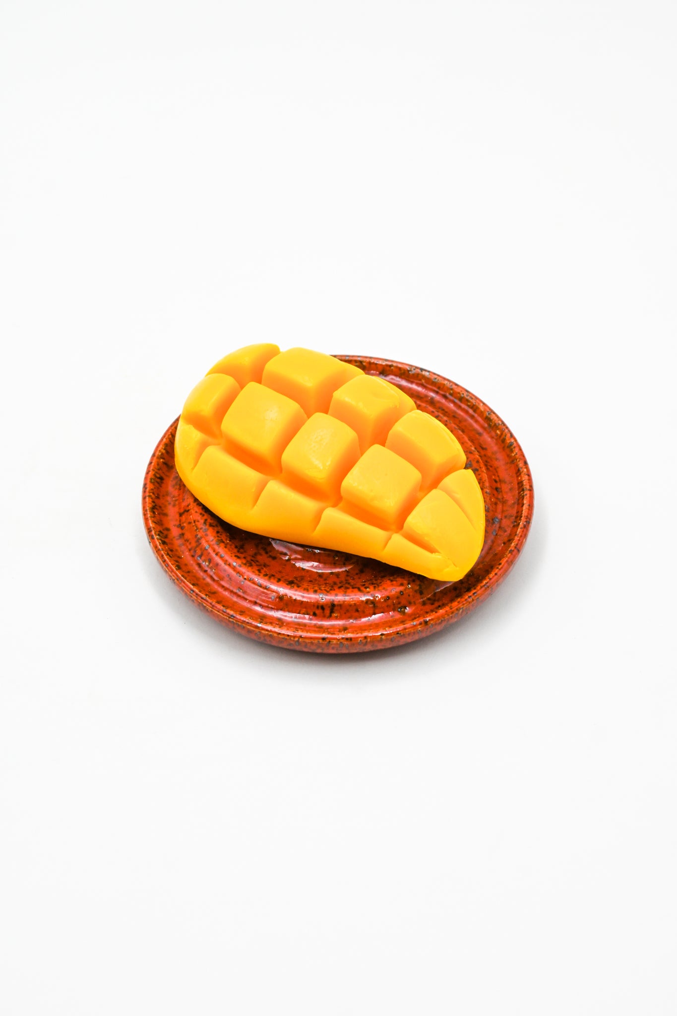 Soap Dish 003