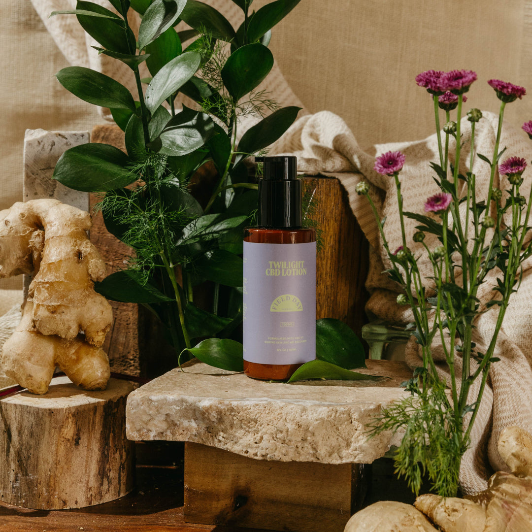 Field Day Herbals CBD Lotion