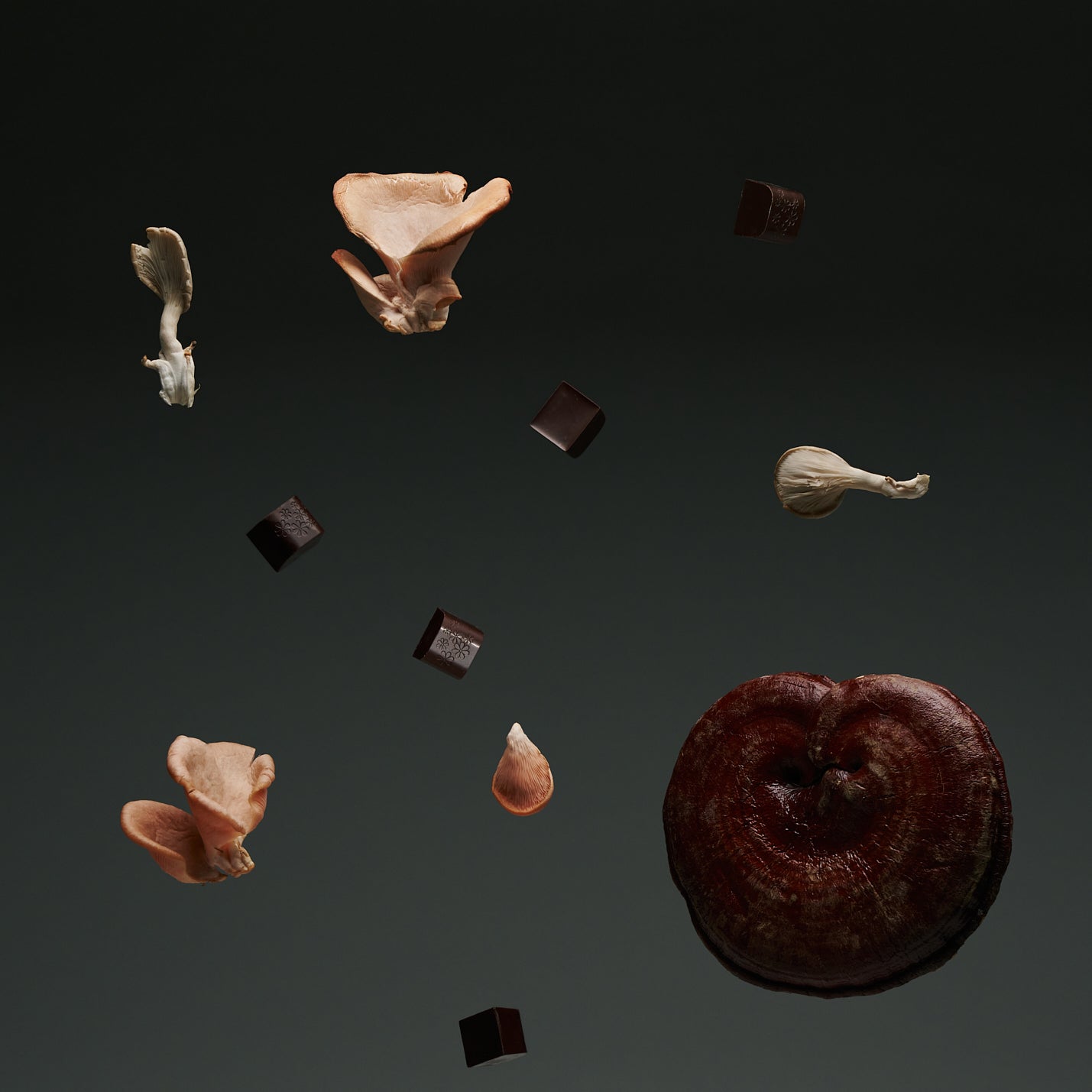 Noon Chocolate Delights