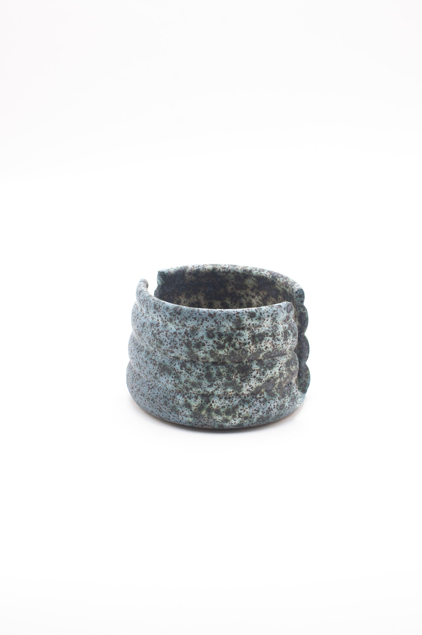 Sponge Dish 002