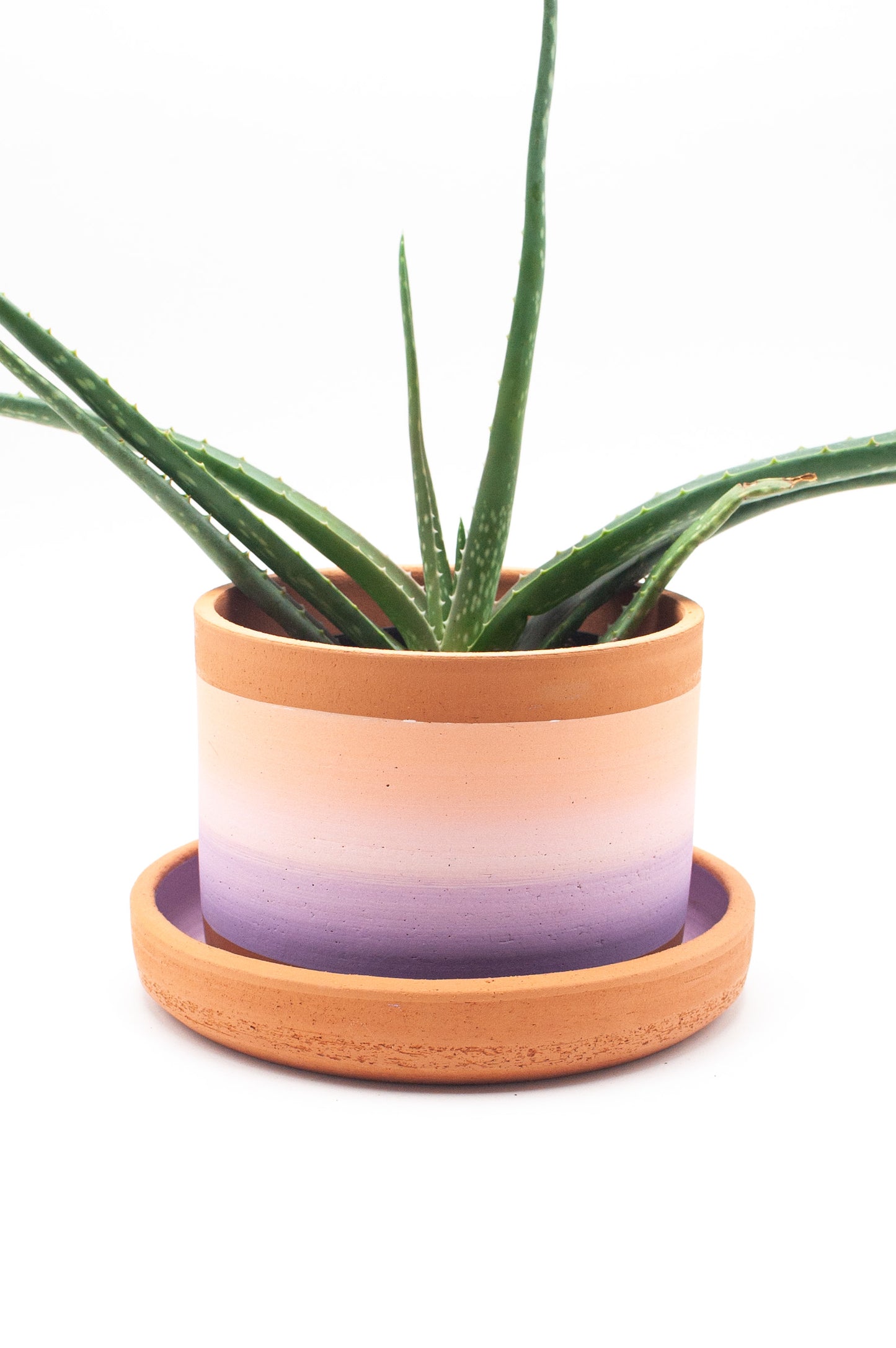 Planter 140