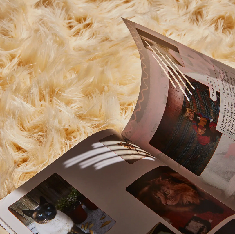 Catnip Magazine