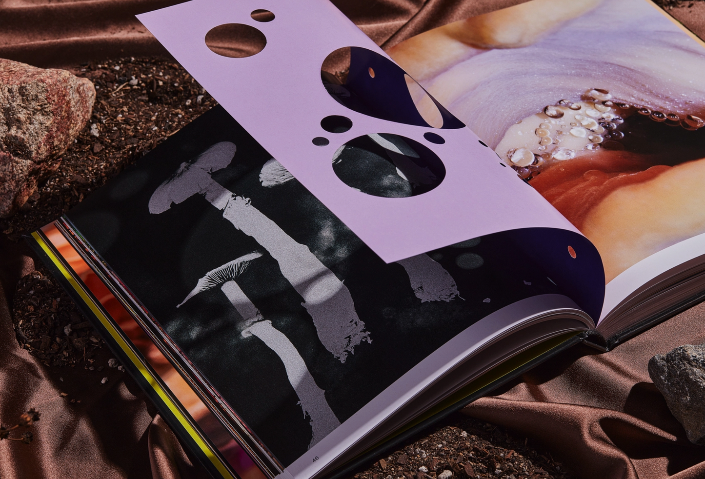 Spores: Magical Mushroom Photography Book