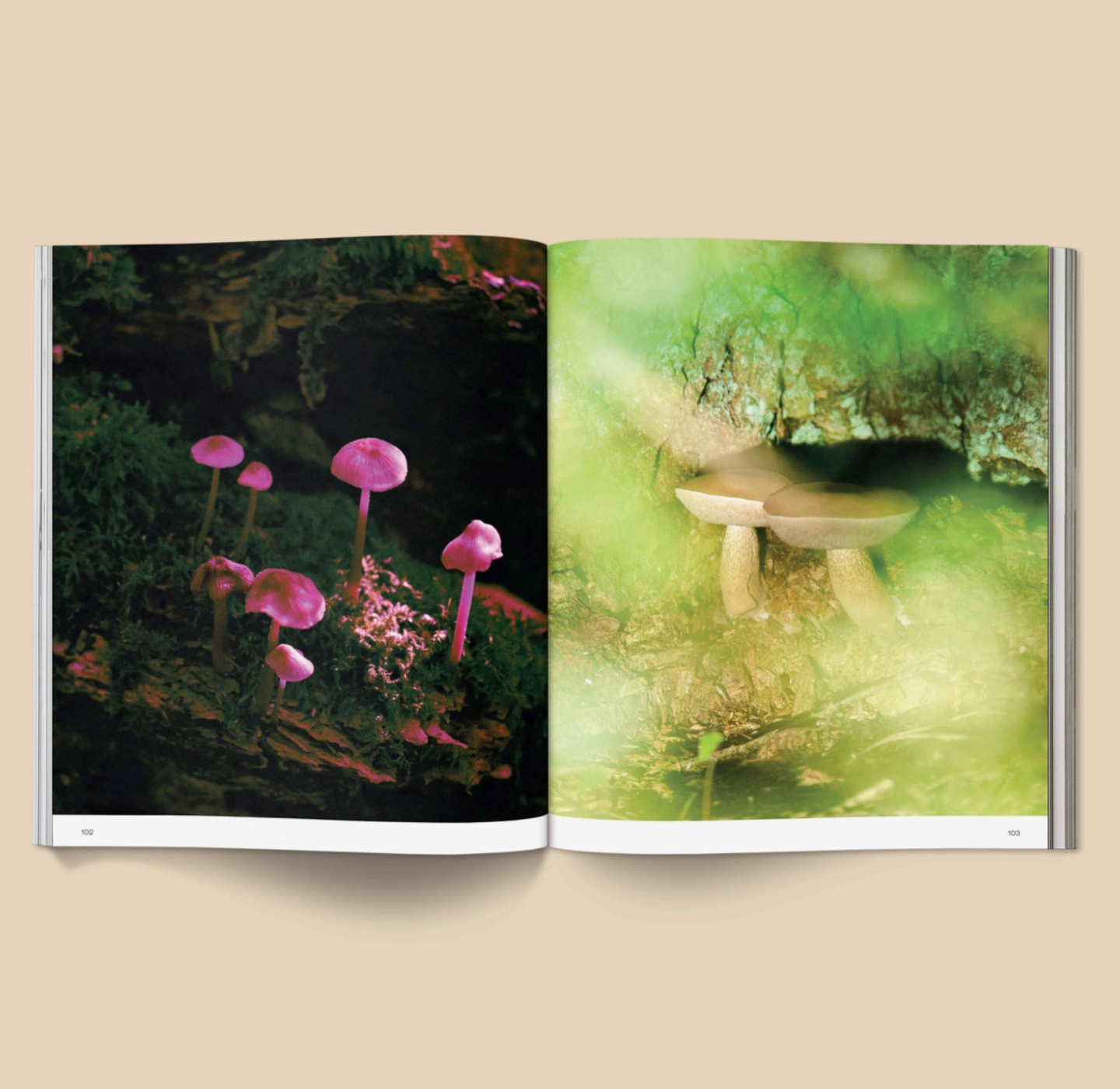 Spores: Magical Mushroom Photography Book