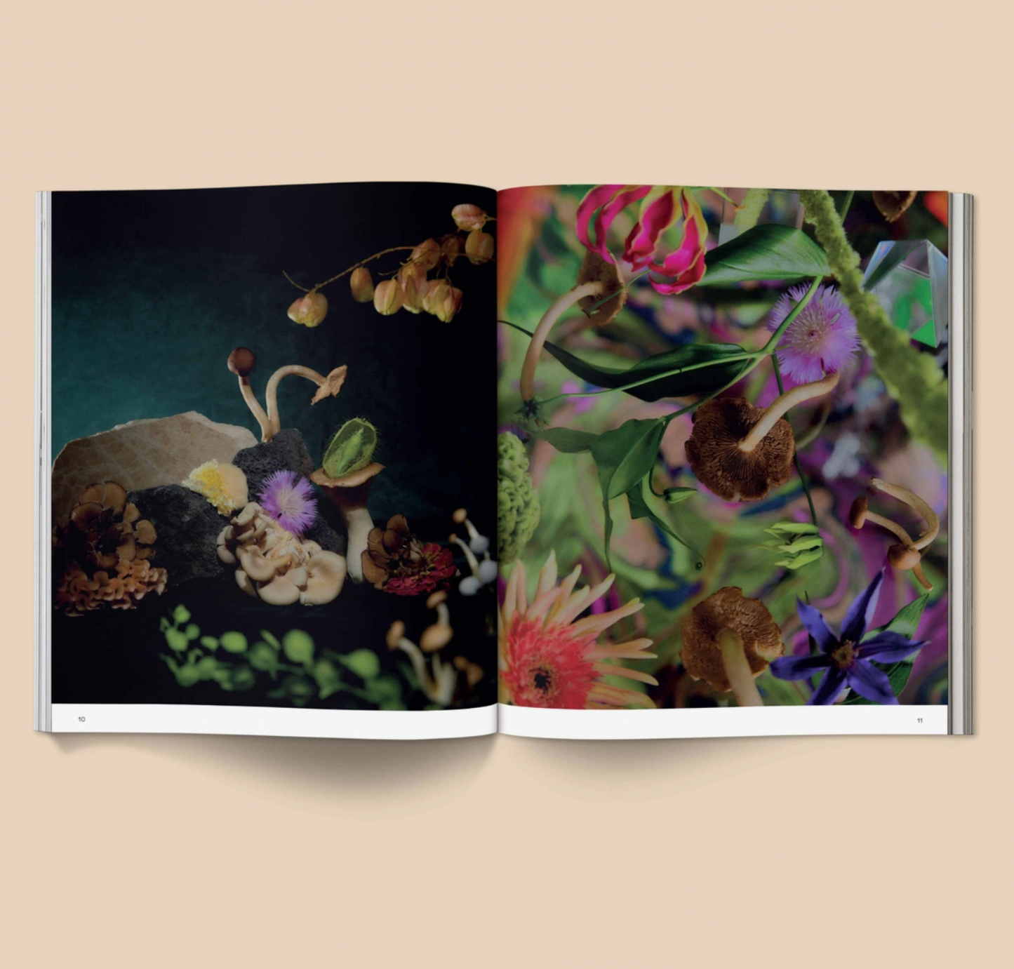 Spores: Magical Mushroom Photography Book