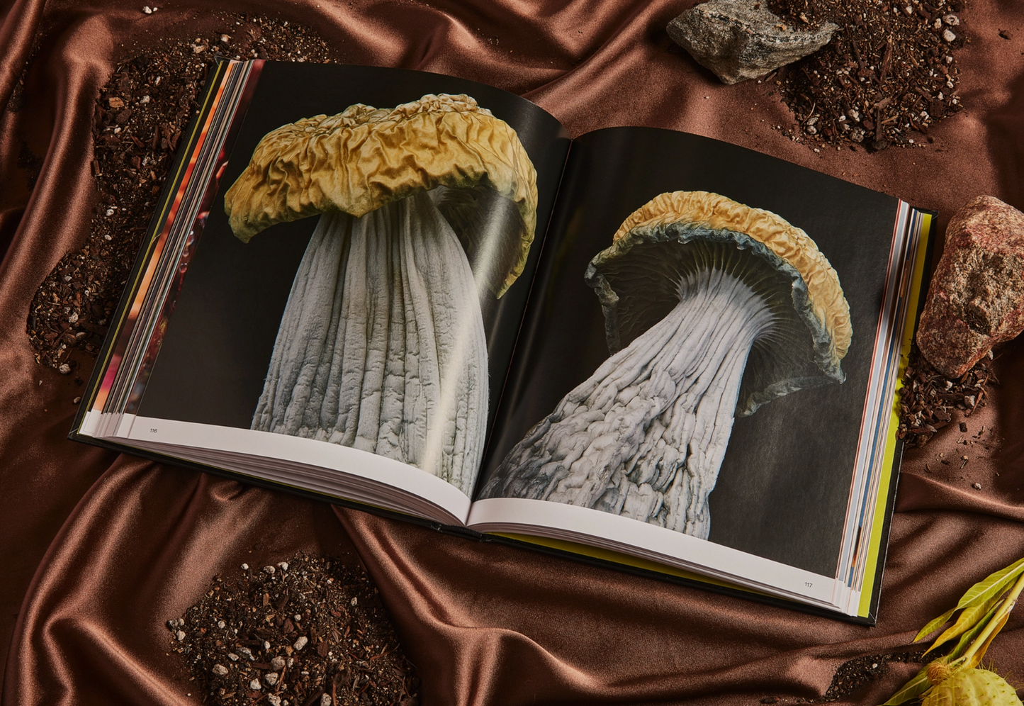 Spores: Magical Mushroom Photography Book