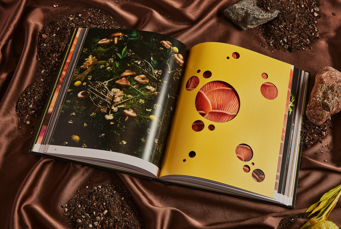 Spores: Magical Mushroom Photography Book