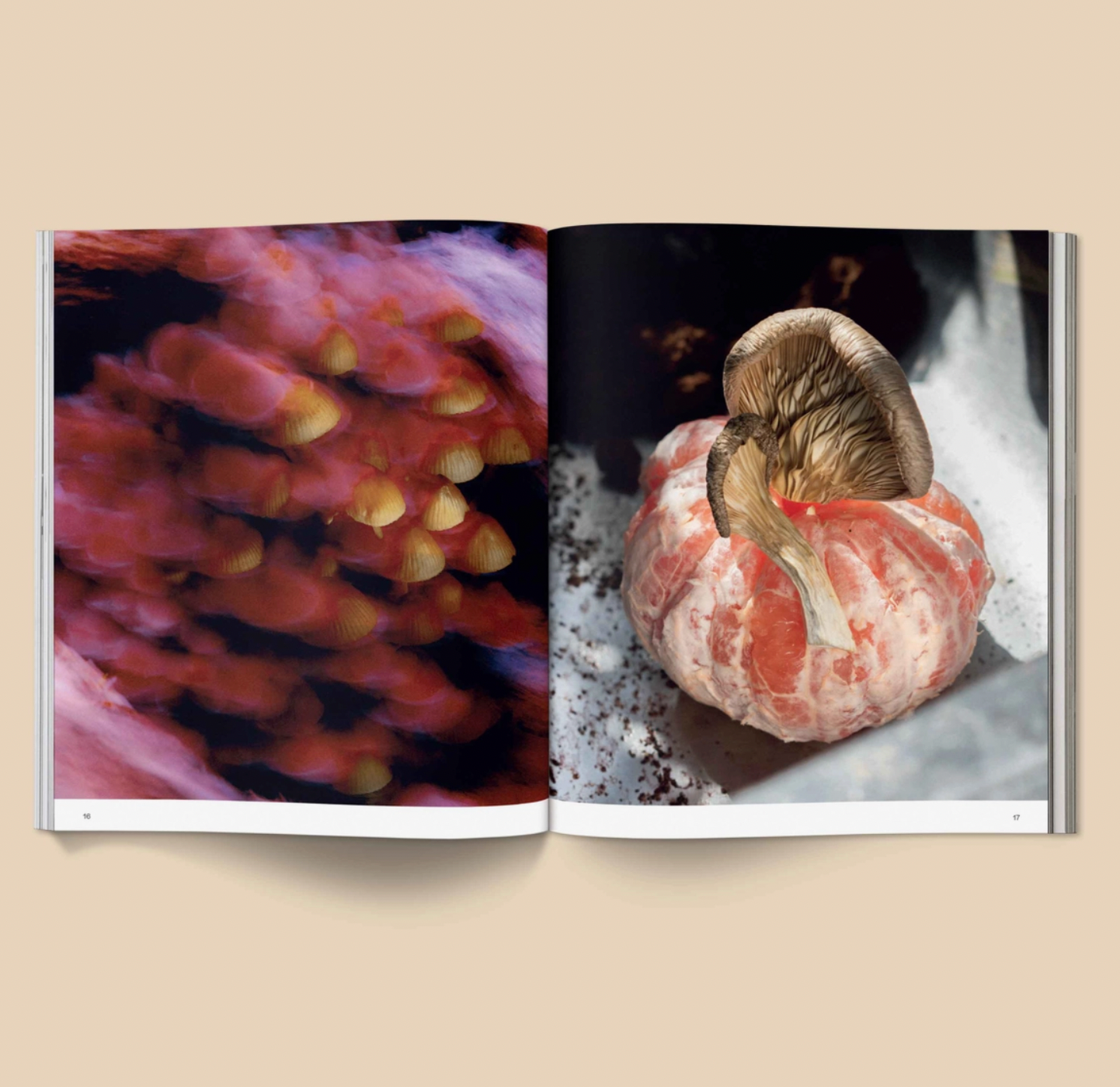 Spores: Magical Mushroom Photography Book