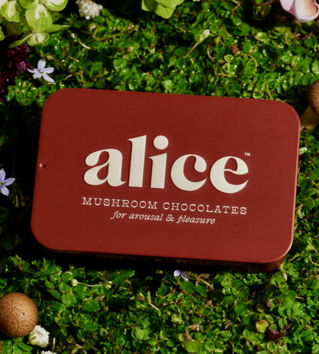 Alice Mushroom Chocolates