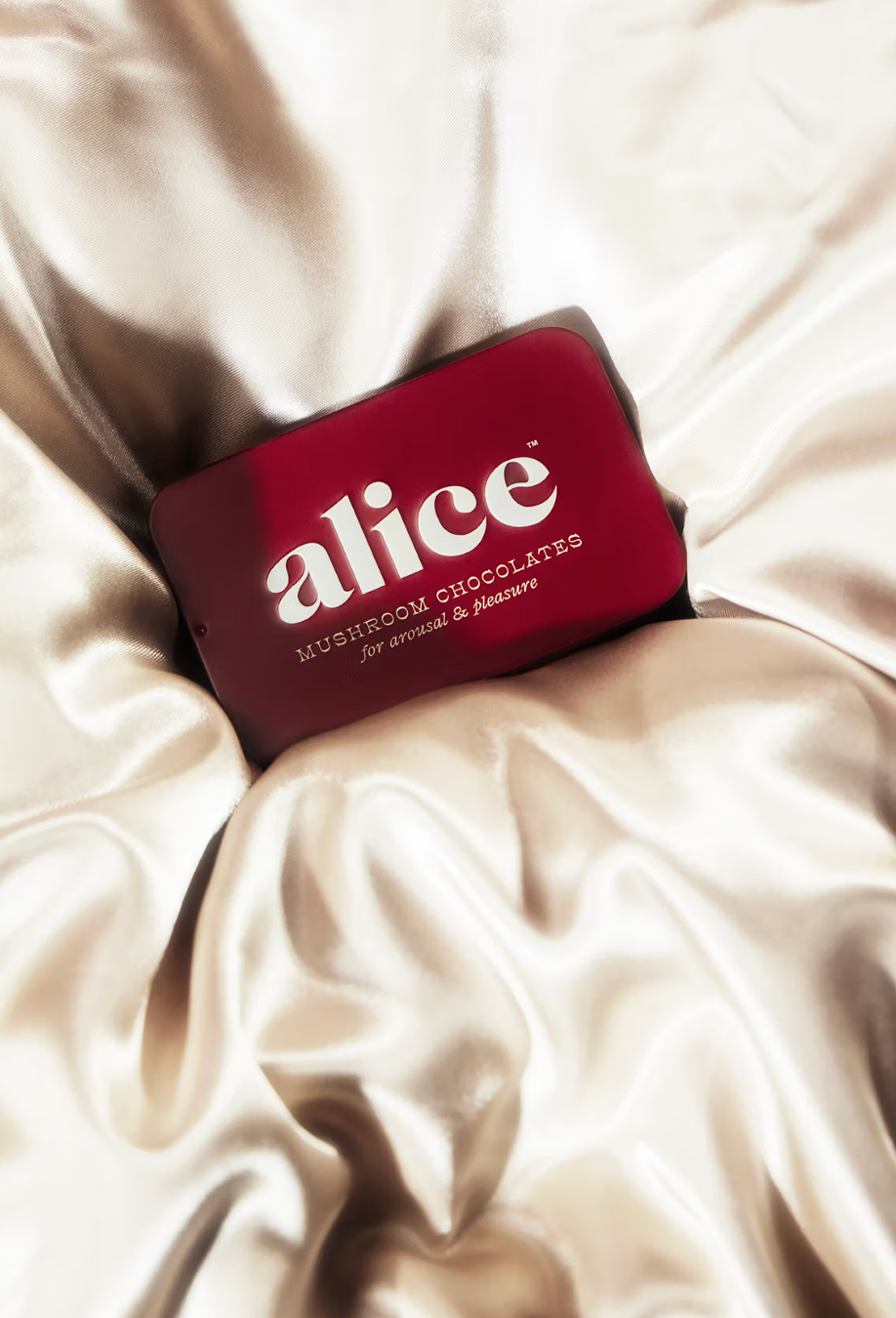Alice Mushroom Chocolates