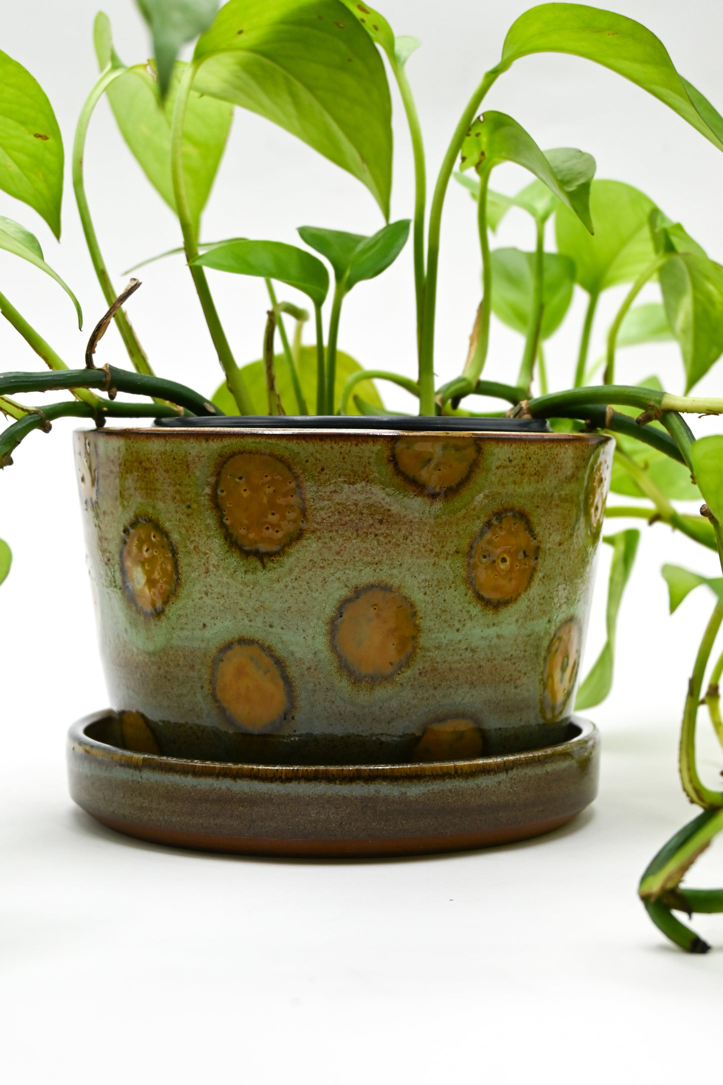 Planter 160
