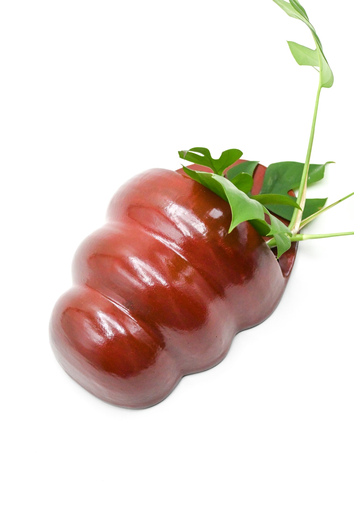 Wall Planter 006