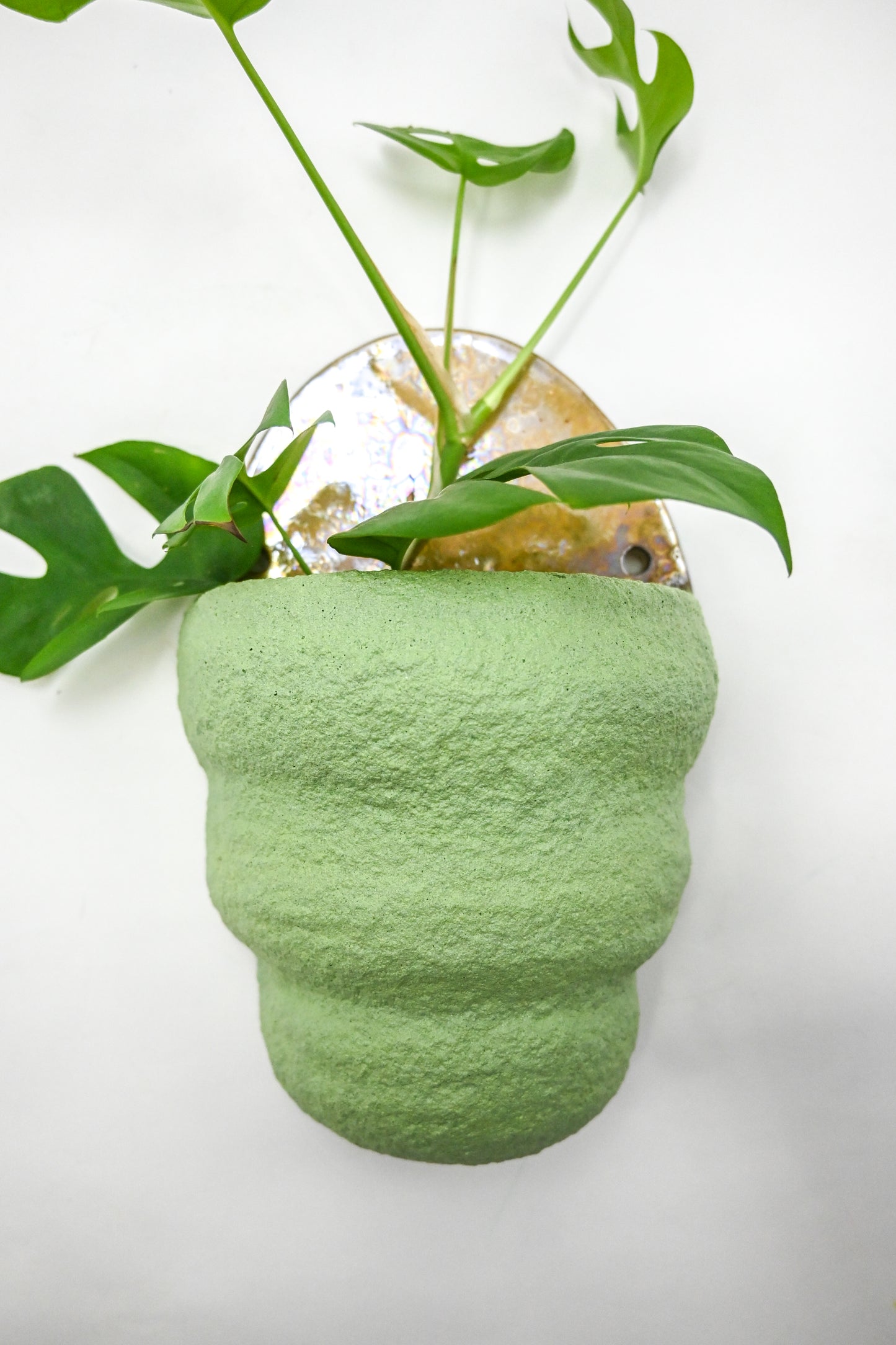 Wall Planter 007