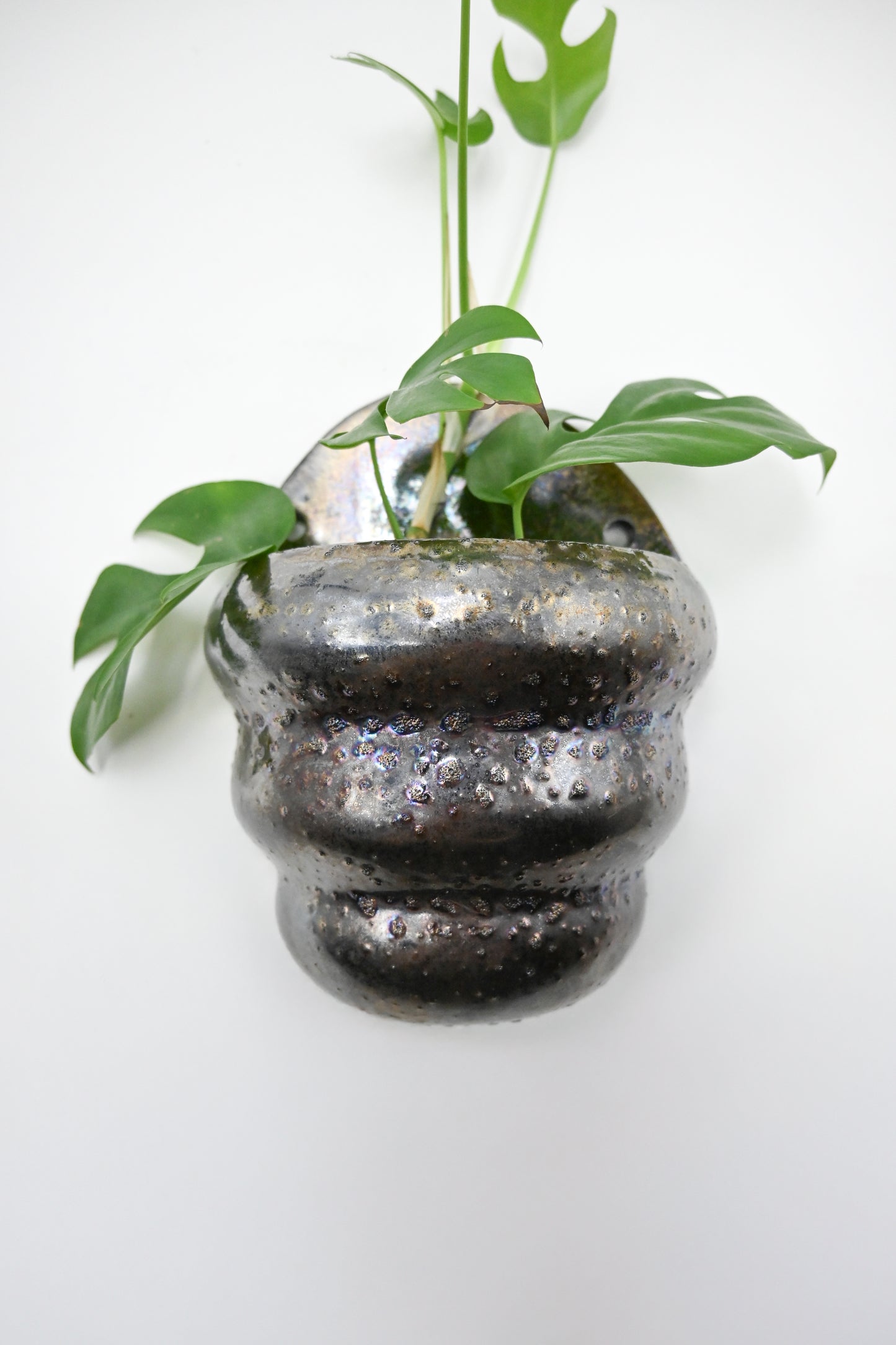 Wall Planter 003