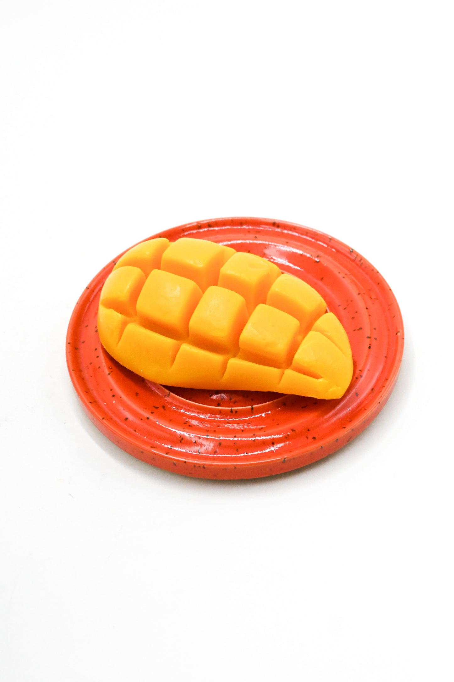 Soap Dish 009