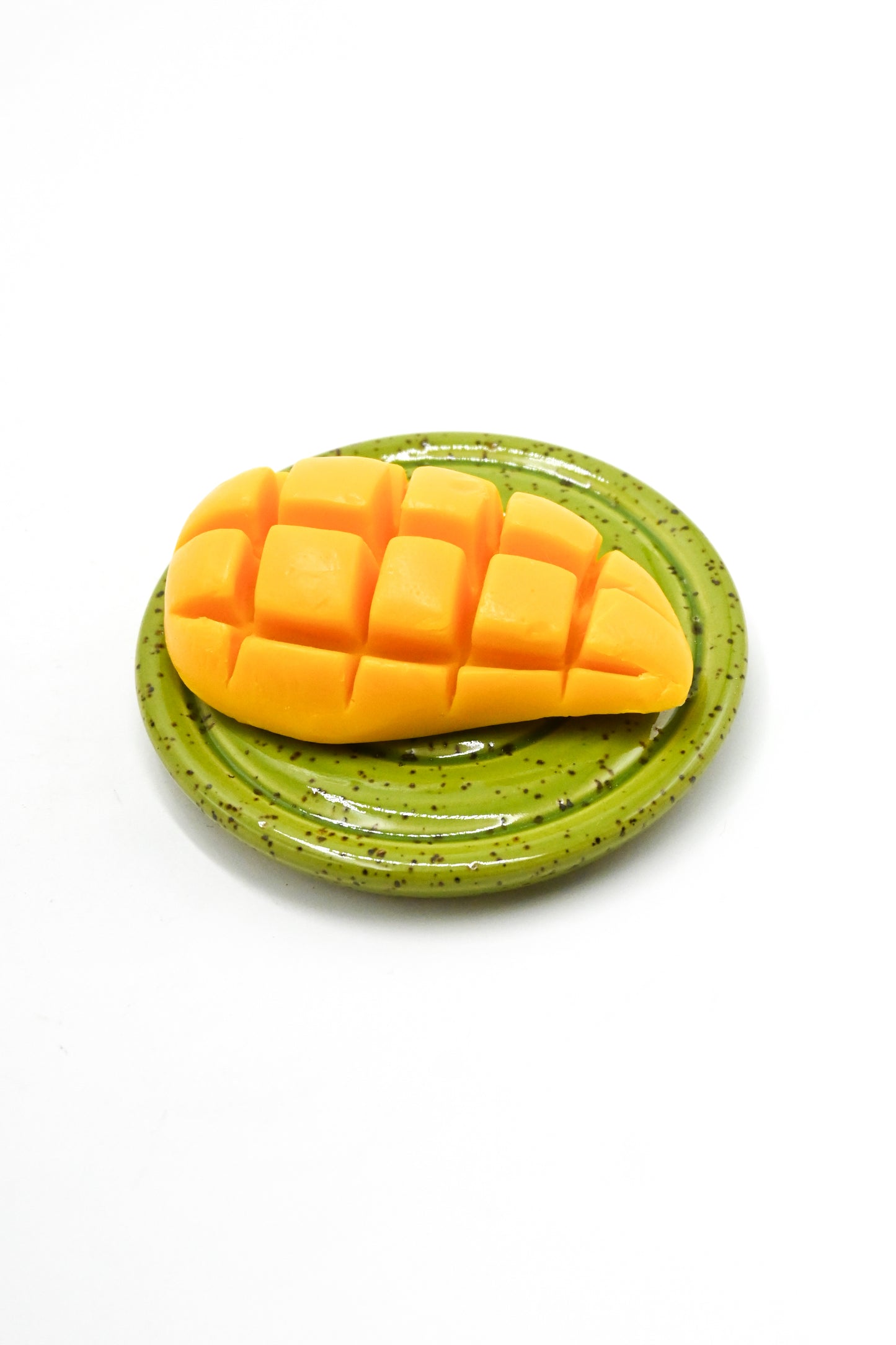 Soap Dish 007
