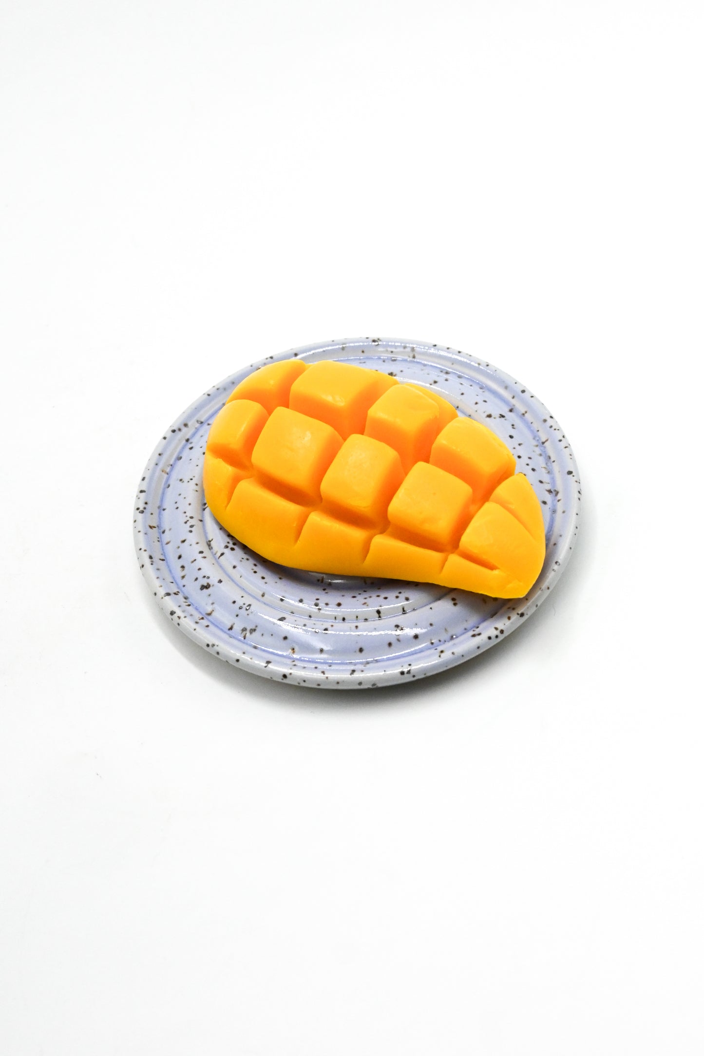 Soap Dish 008