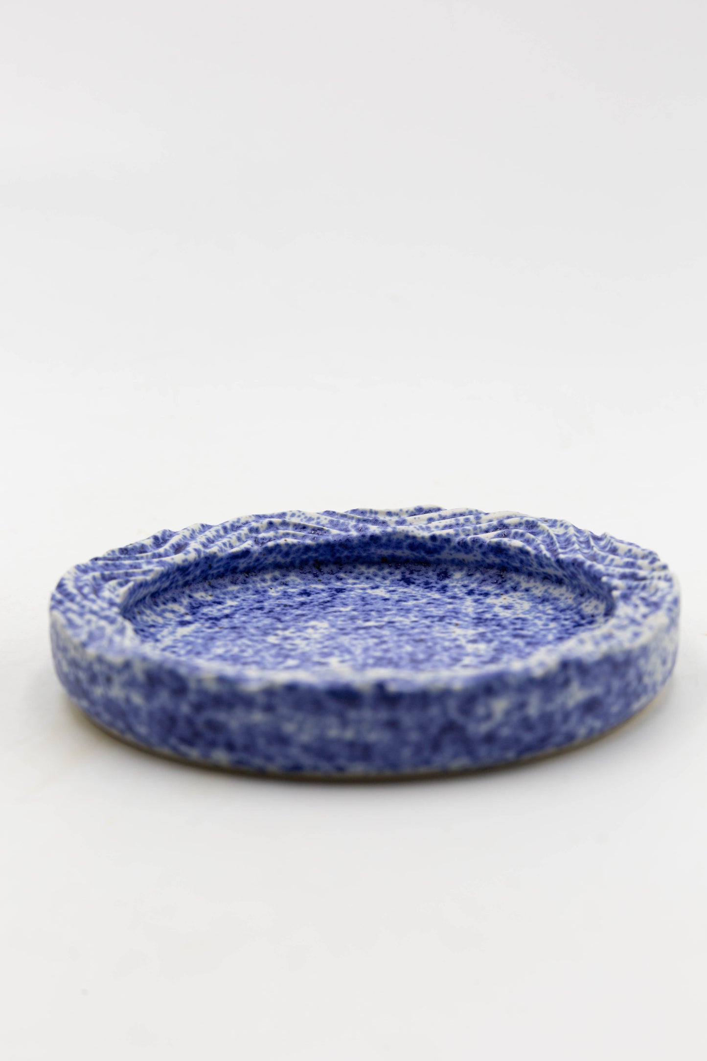 Dish 024