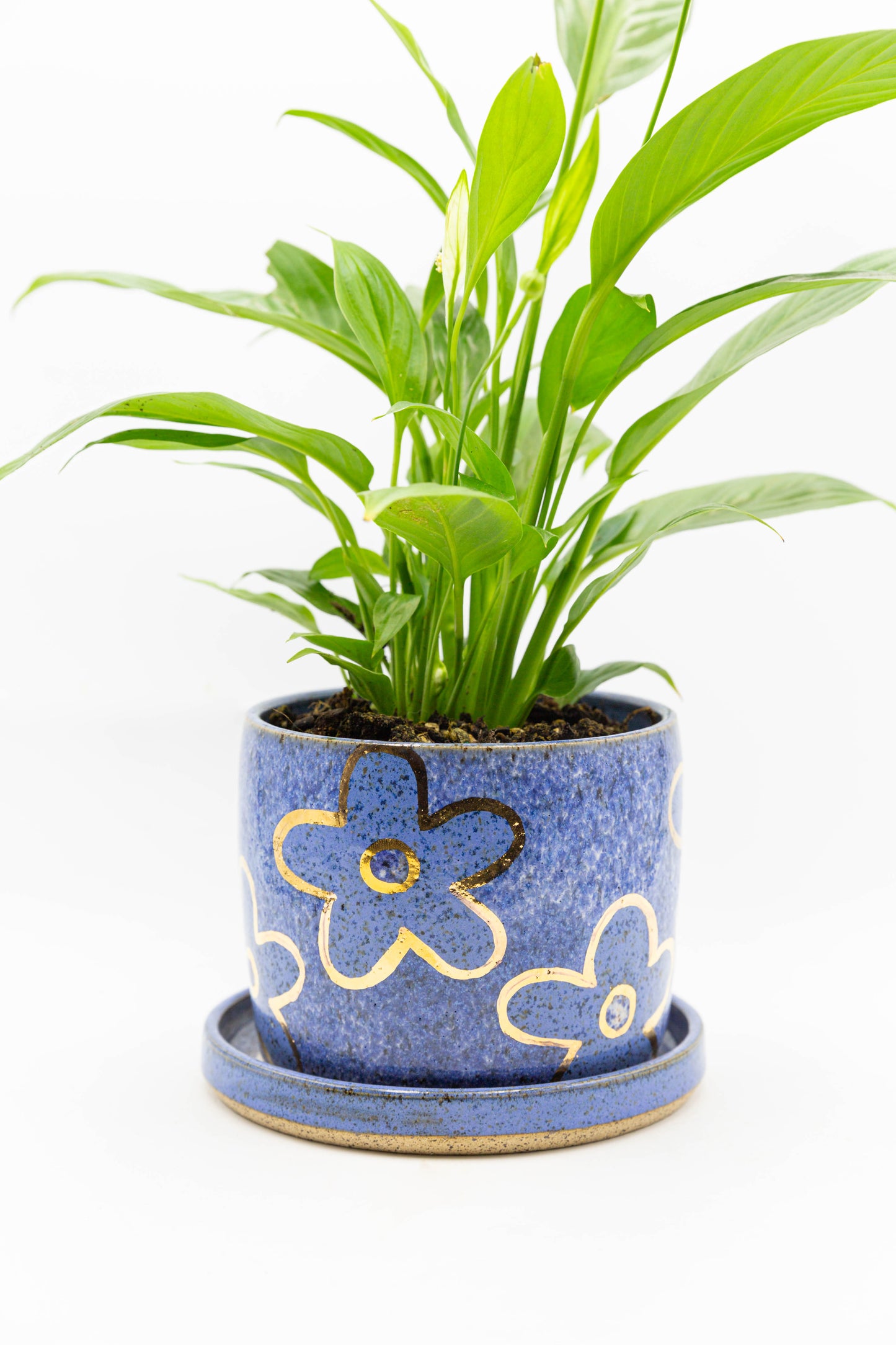 Planter 131