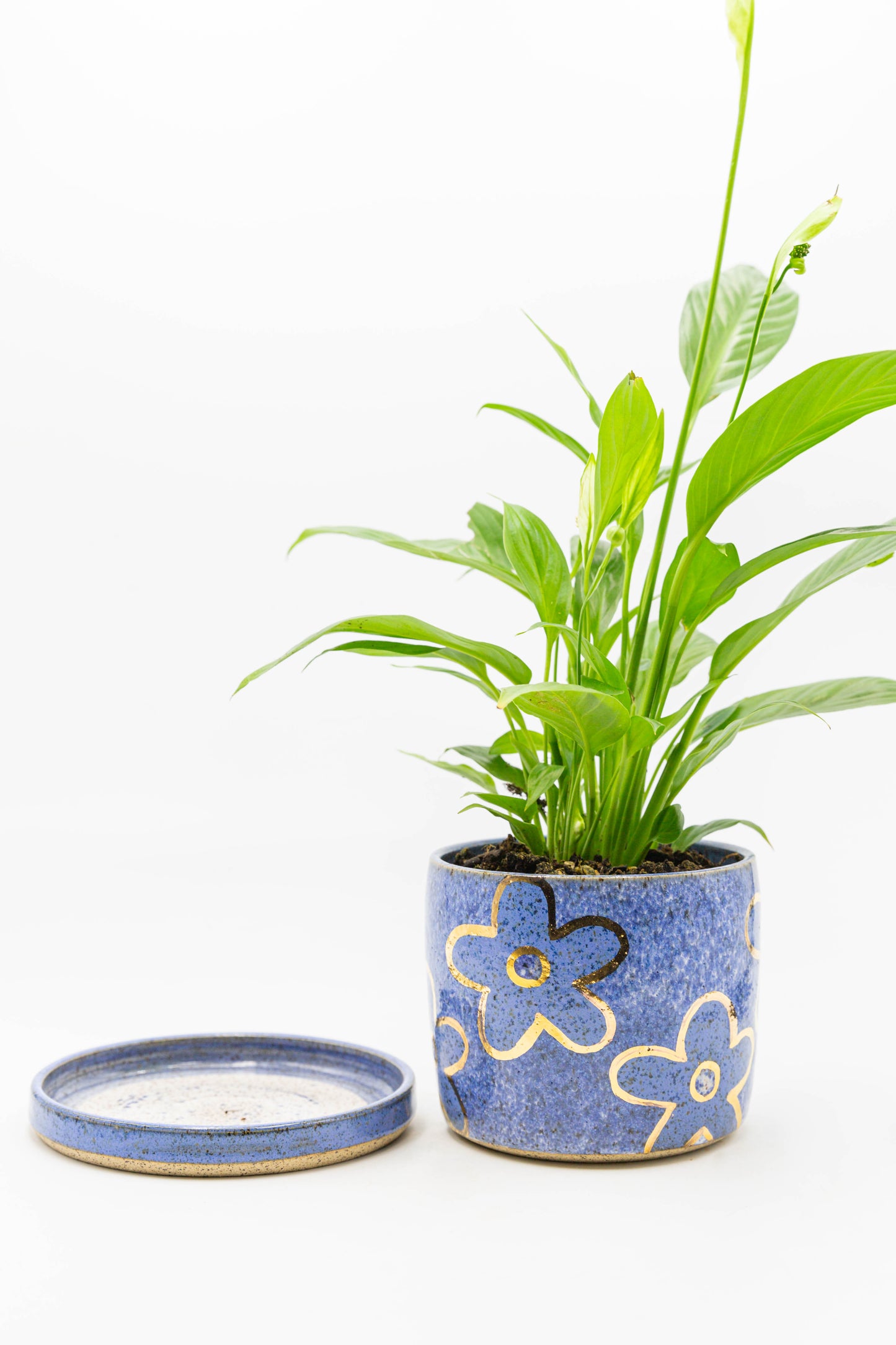 Planter 131