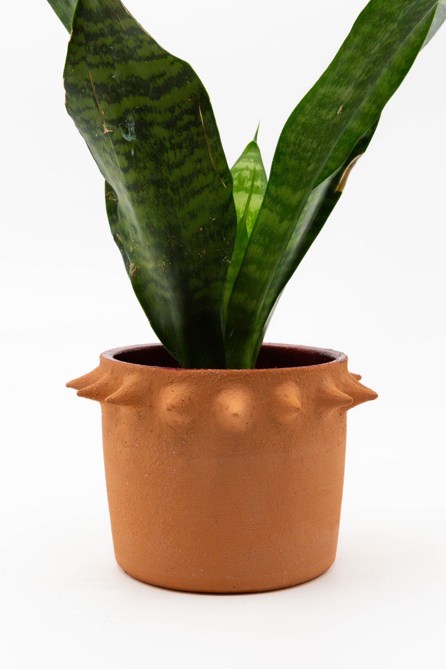 Planter 132