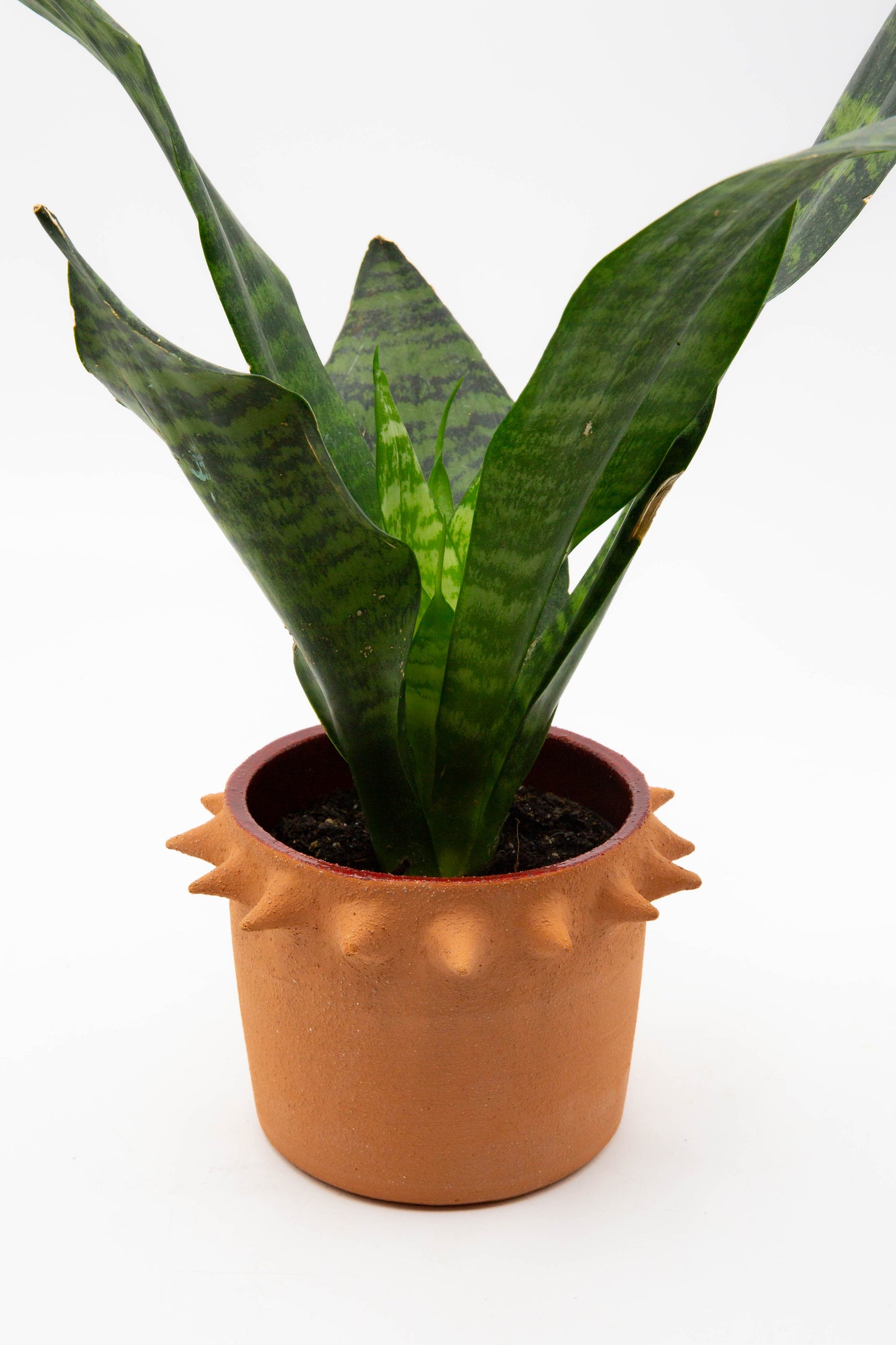 Planter 132