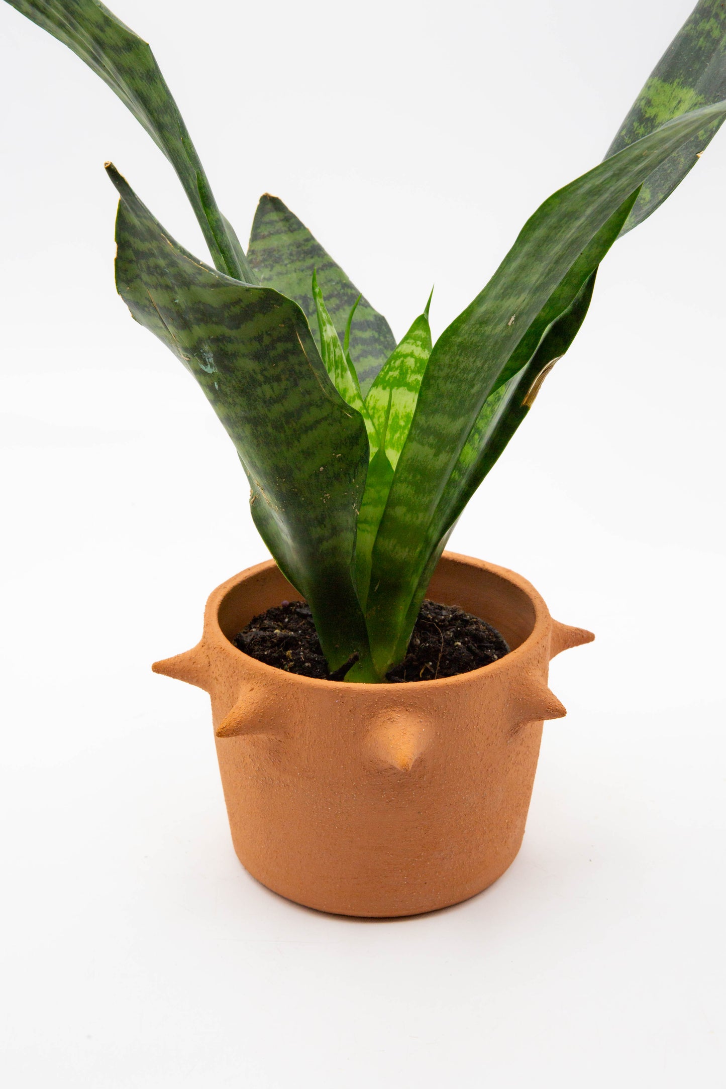 Planter 133