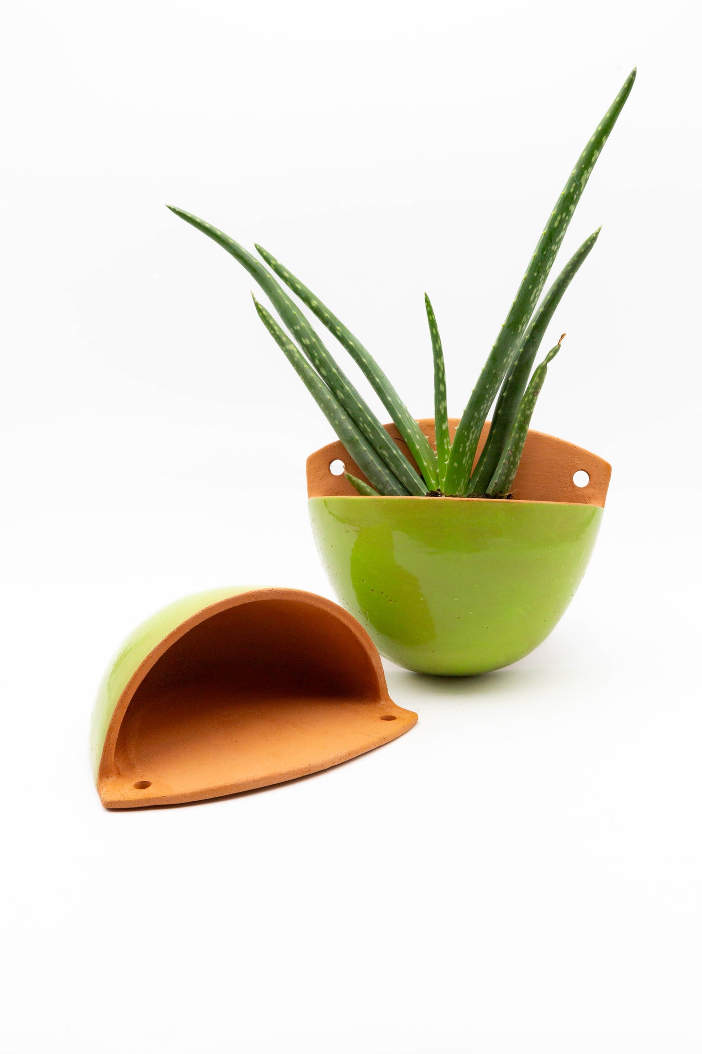 Wall Planter 001
