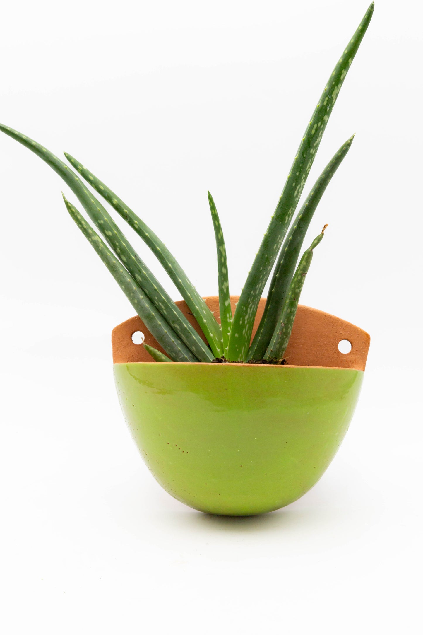 Wall Planter 001