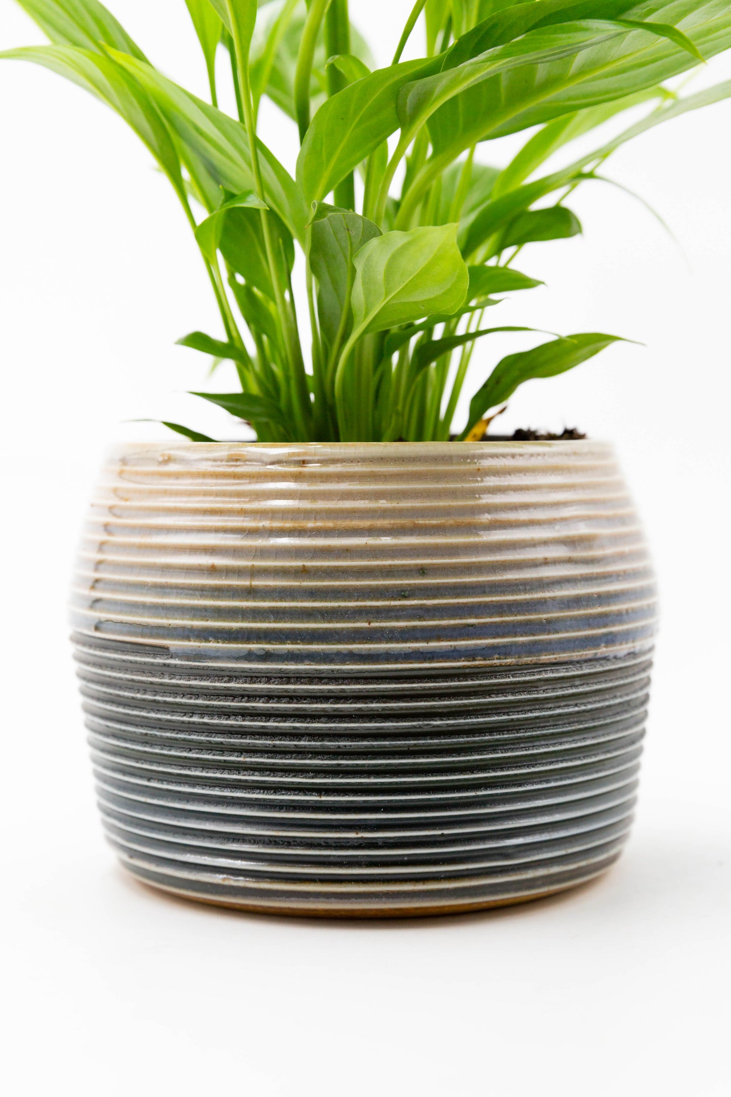 Soda Fired Planter 001