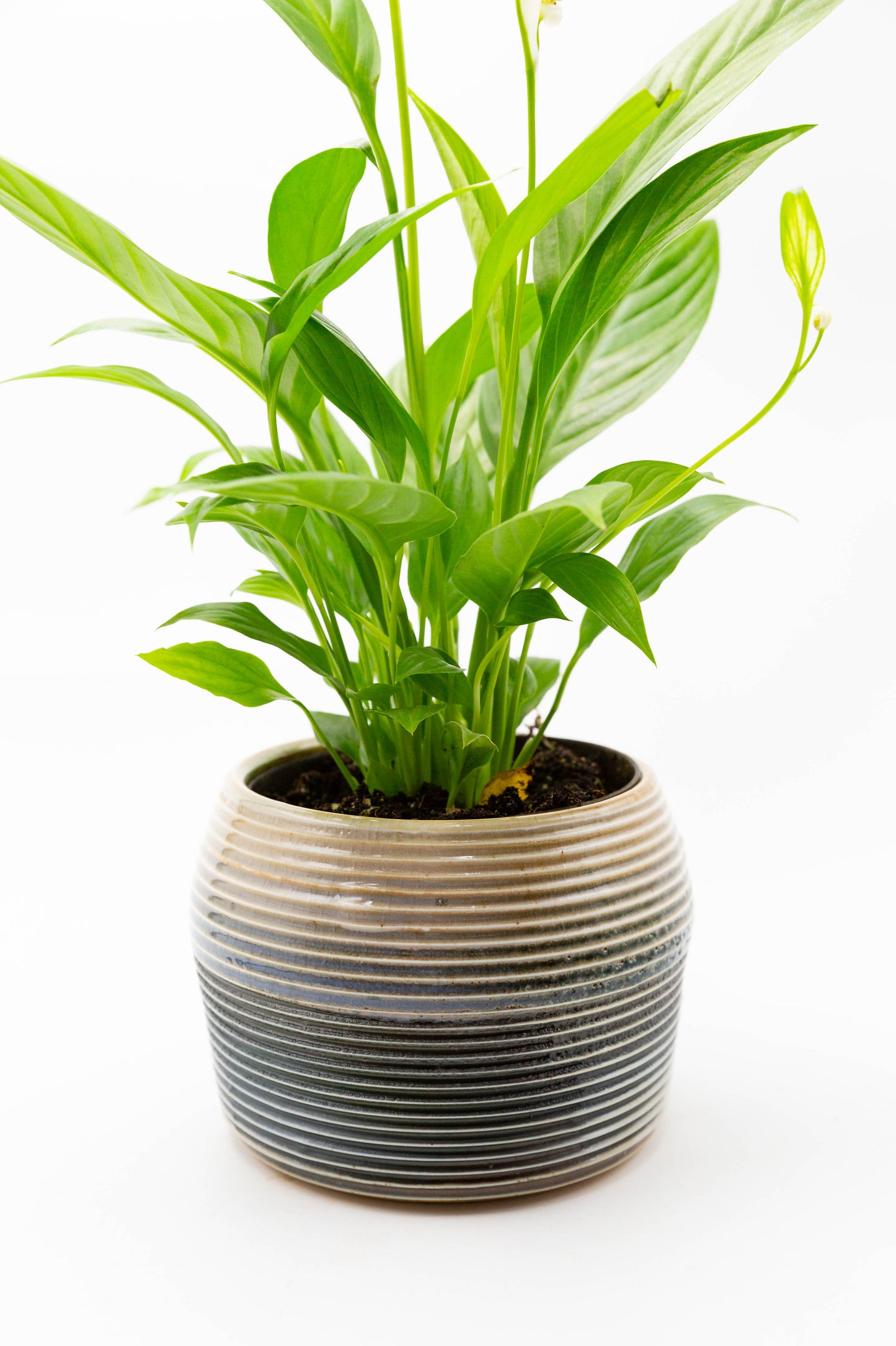Soda Fired Planter 001