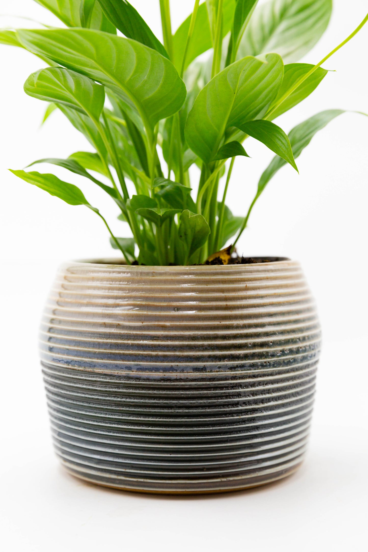 Soda Fired Planter 001