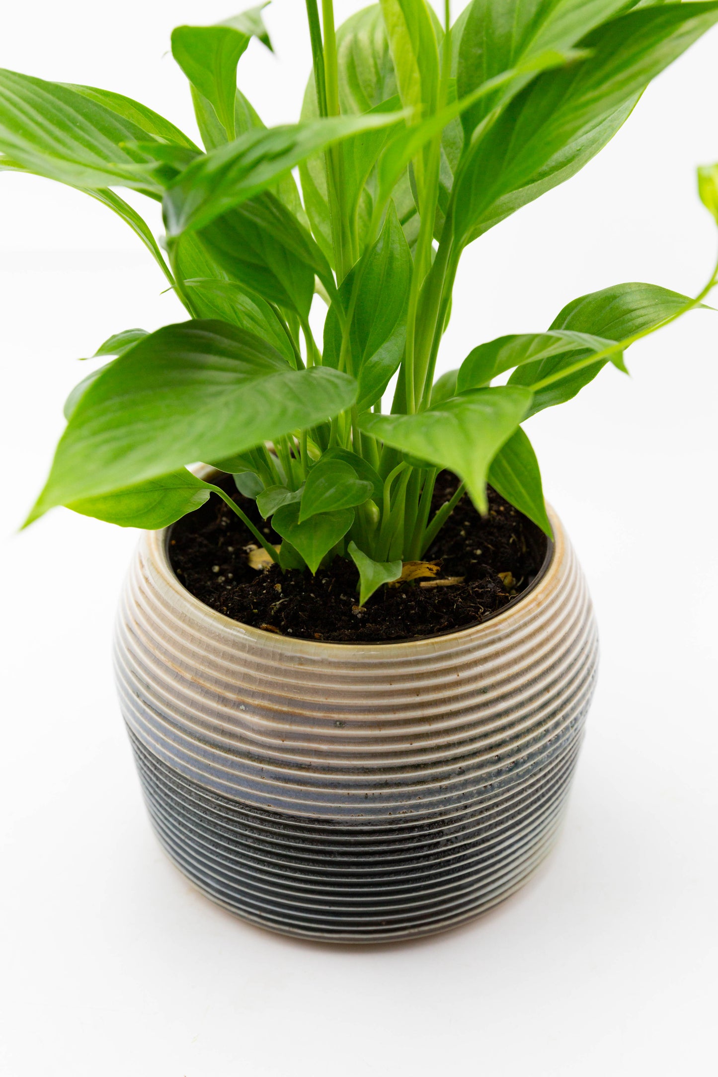 Soda Fired Planter 001