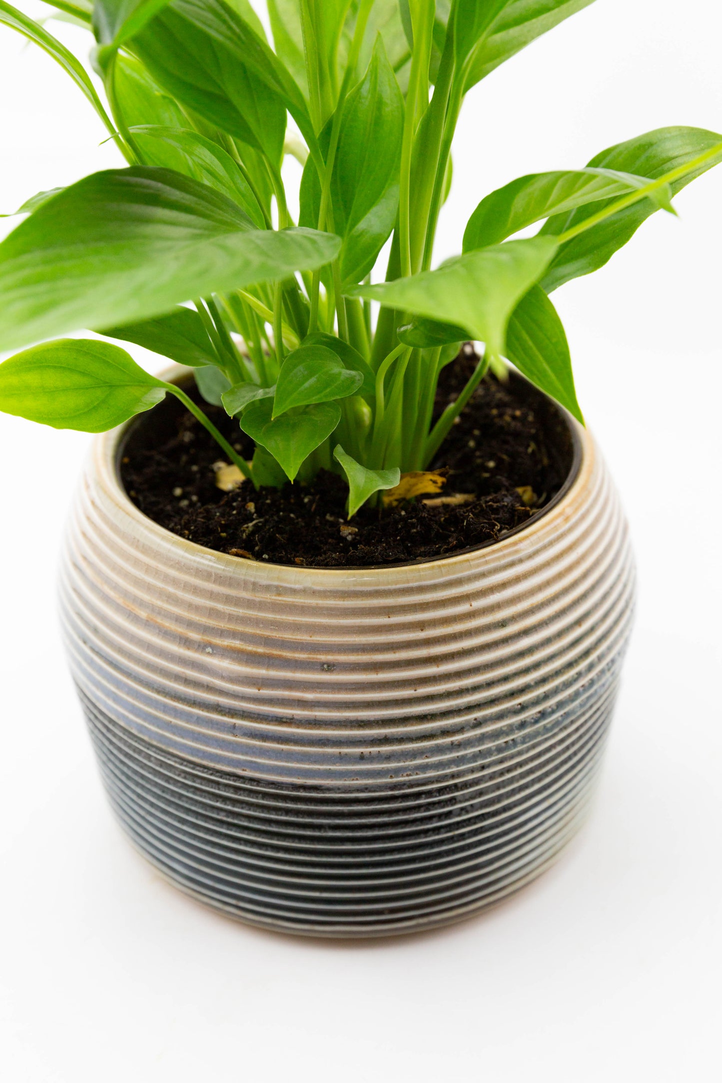 Soda Fired Planter 001