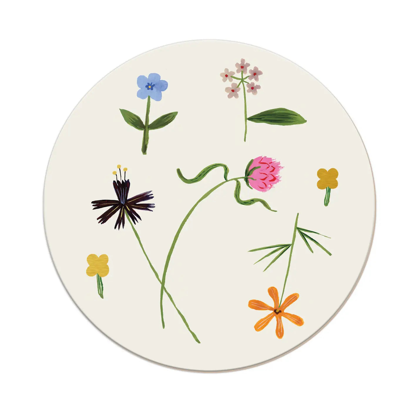 Seedlings Coasters