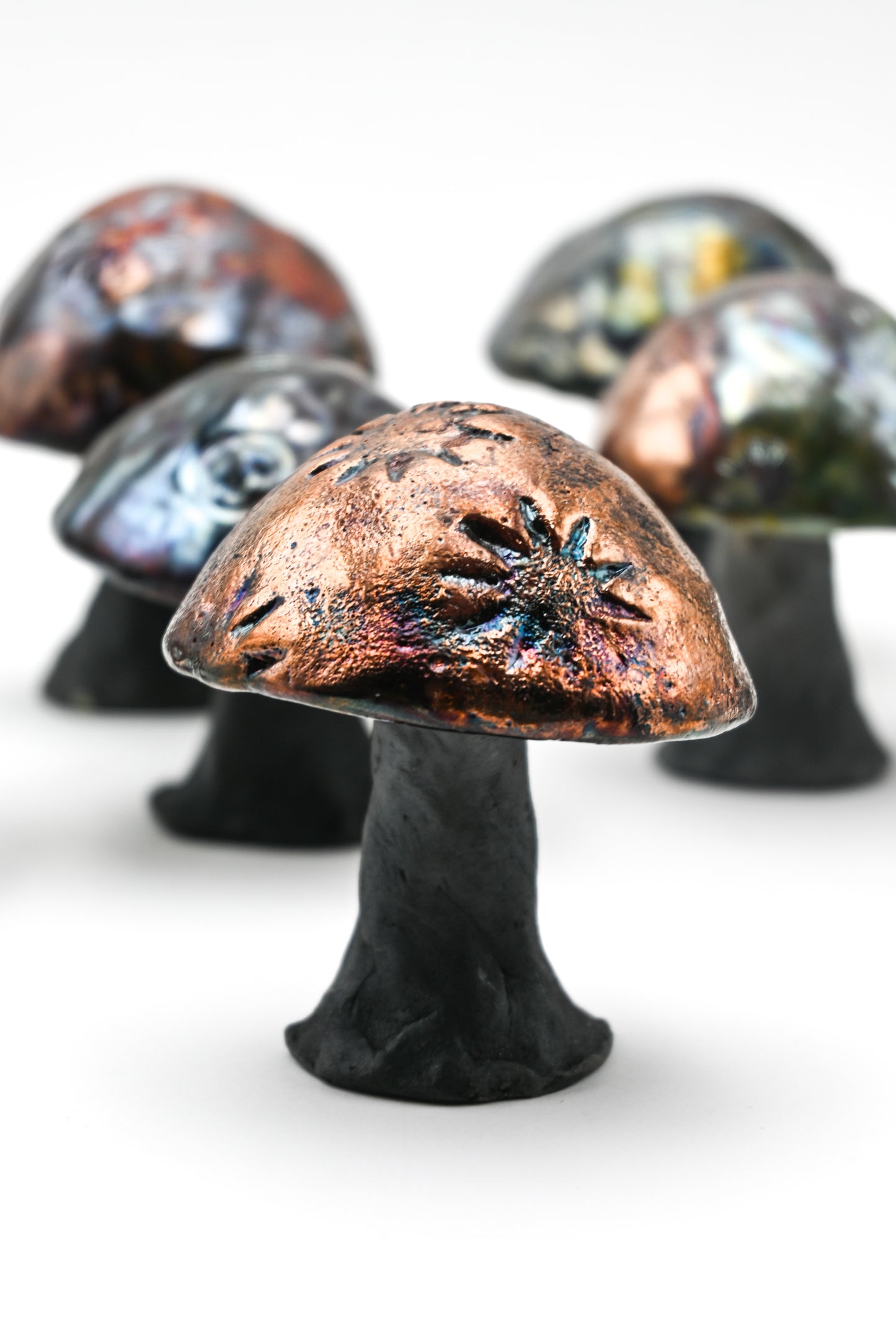 Raku Fired Mushrooms 001