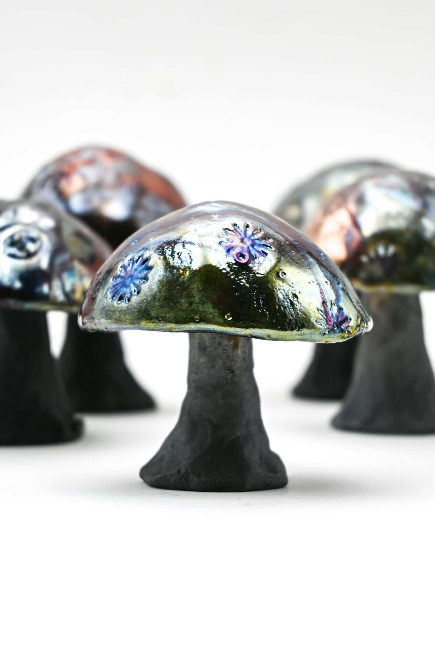 Raku Fired Mushrooms 001