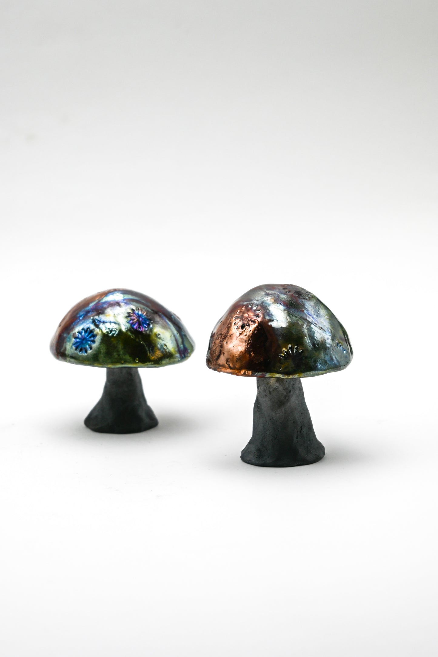 Raku Fired Mushrooms 001