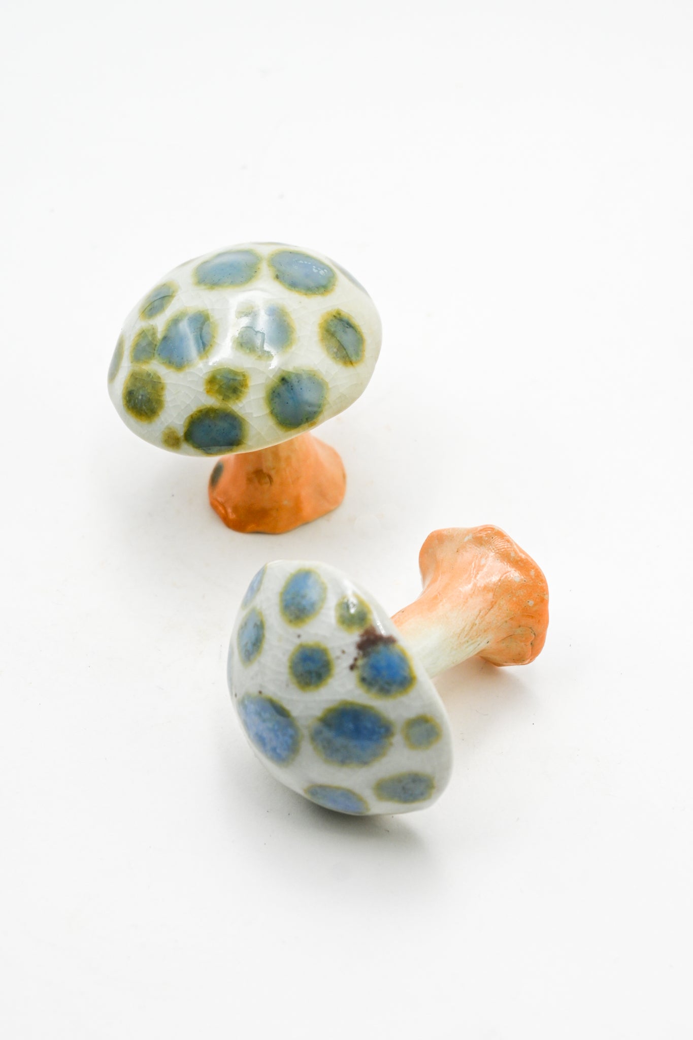 Wood Fired Mushrooms 003