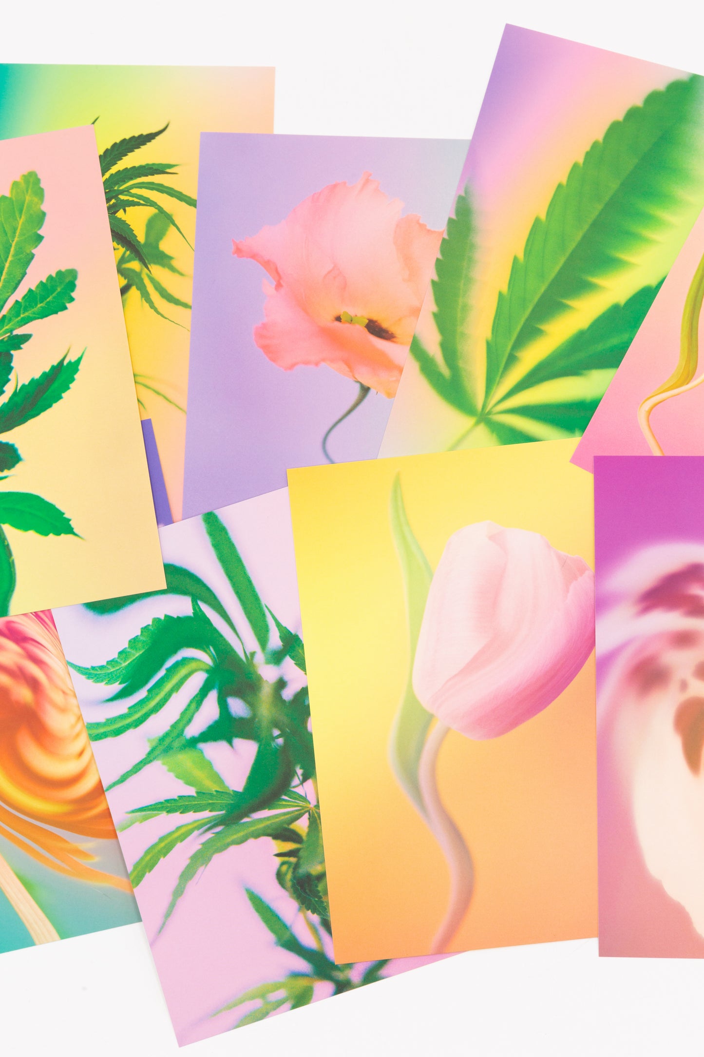 Broccoli Magazine Psychedelic Fleurs Postcard Print Set