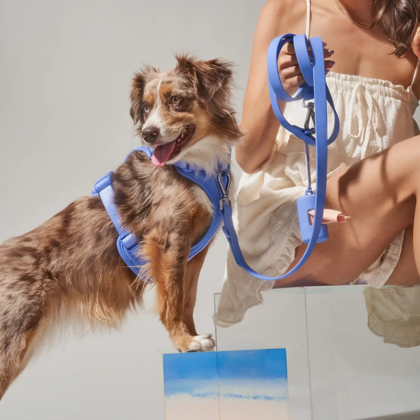 Wild One Poop Bag Carrier