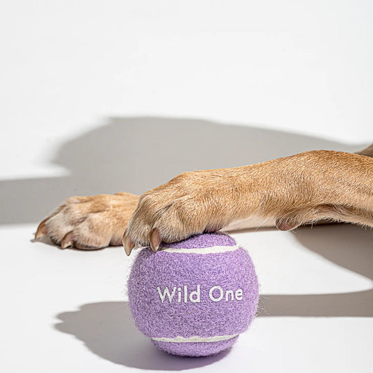 Wild One Lilac Tennis Balls