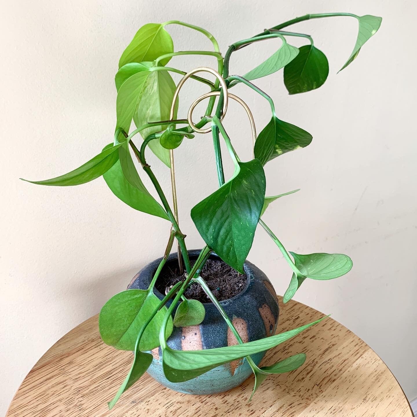 Keta Handmade Plant Stakes