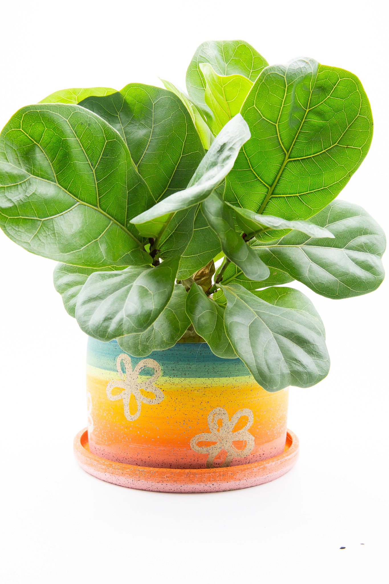Planter 067